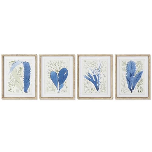 CUADRO ABETO CRISTAL 35X2,5X45 ALGAS 4 SURT. CUADRO ABETO CRISTAL 35X2,5X45 ALGAS 4 SURT. von AlexandreHouse