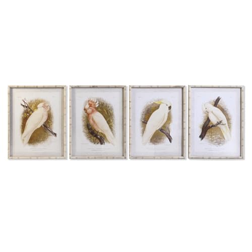 CUADRO CRISTAL BAMBU 50X2,8X65 CACATUA 4 SURT. von AlexandreHouse