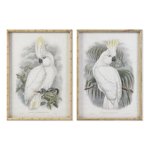 CUADRO CRISTAL BAMBU 50X2,8X70 CACATUA 2 SURT. von AlexandreHouse