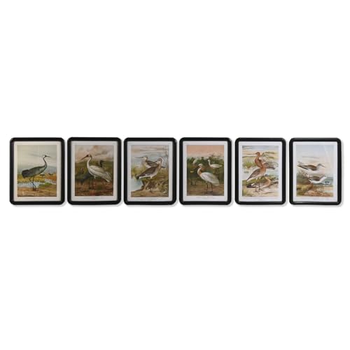 CUADRO CRISTAL MDF 40X1,8X50 PAJAROS 6 SURT. von AlexandreHouse
