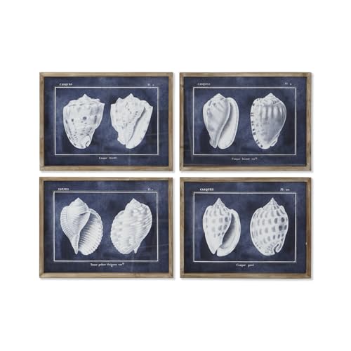 CUADRO CRISTAL MDF 60X2,5X45 CARACOLAS 4 SURT. CUADRO CRISTAL MDF 60X2,5X45 CARACOLAS 4 SURT. von AlexandreHouse