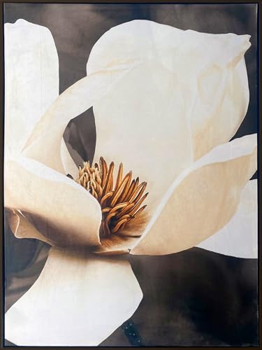 CUADRO MAGNOLIA EN TERCIOPELO C/MARCO CUADRO MAGNOLIA EN TERCIOPELO C/MARCO von AlexandreHouse