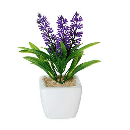 MACETA C/FLOR ARTIFICIAL LAVANDA_10X5X5CM, MATERIAL:PU+CER┴MIC MACETA C/FLOR ARTIFICIAL LAVANDA_10X5X5CM, MATERIAL:PU+CER┴MIC von AlexandreHouse