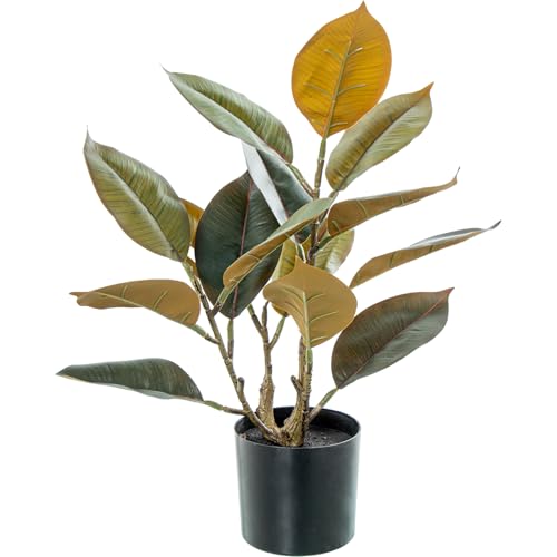 PLANTA ARTIFICIAL ROBLE 50CM_50CM PLANTA ARTIFICIAL ROBLE 50CM_50CM von AlexandreHouse