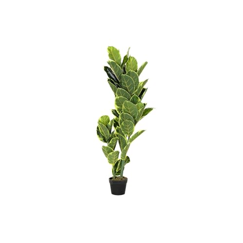 PLANTA PE 40X40X120 HEVEA VERDE PLANTA PE 40X40X120 HEVEA VERDE von AlexandreHouse