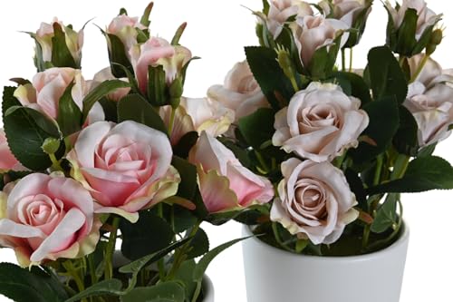 PLANTA POLIESTER PE 10,5X10,5X25 ROSAS 2 SURT. PLANTA POLIESTER PE 10,5X10,5X25 ROSAS 2 SURT. von AlexandreHouse