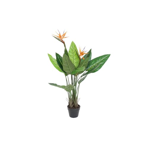 PLANTA PVC 80X80X120 STRELITZIA PLANTA PVC 80X80X120 STRELITZIA von AlexandreHouse