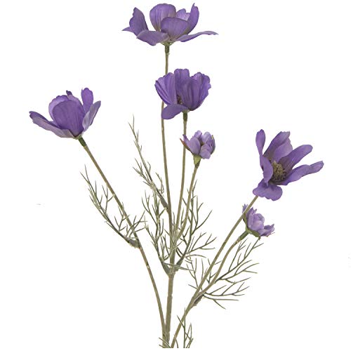 RAMA MARGARITAS POLIESTER VIOLETA_59CM RAMA MARGARITAS POLIESTER VIOLETA_59CM von AlexandreHouse