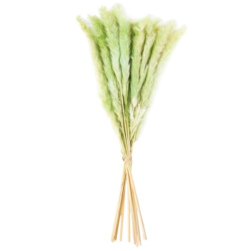RAMO FLORES ENVUELTO EN PAPELVERDE_50CM von AlexandreHouse