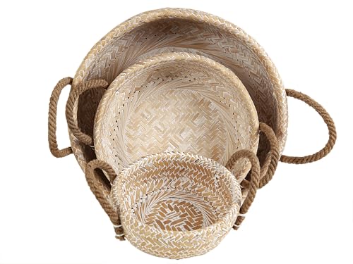 SET 3 CESTOS C/ASAS BAMBU von AlexandreHouse
