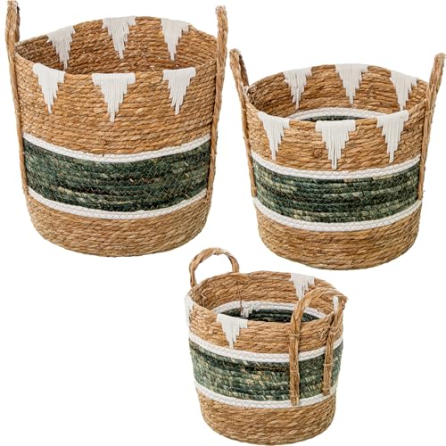 SET 3 CESTOS HIERBA DE MAR NATURAL/VERDE+ ALGODÓN BLANCO_°38X37+°34X31+°29X26CM SET 3 CESTOS HIERBA DE MAR NATURAL/VERDE+ ALGODÓN BLANCO_°38X37+°34X31+°29X26CM von AlexandreHouse