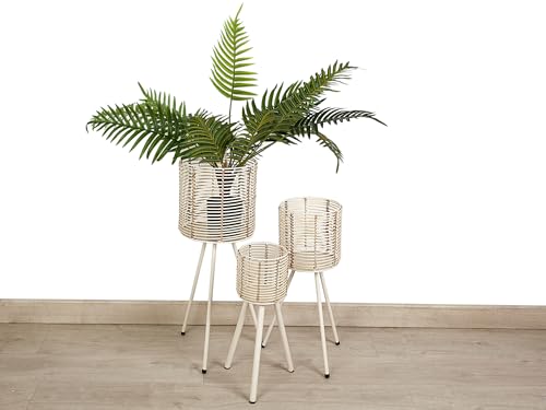 SET 3 MACETEROS C/PATAS METAL/RATTAN SET 3 MACETEROS C/PATAS METAL/RATTAN von AlexandreHouse