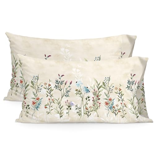 Vernazza Funda de almohada 50x75 cm (x2) (Cama 150/160)_AlexandreHouse von AlexandreHouse