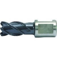 ALFRA Kernbohrer HSS-Co RQX 21/30mm von Alfra