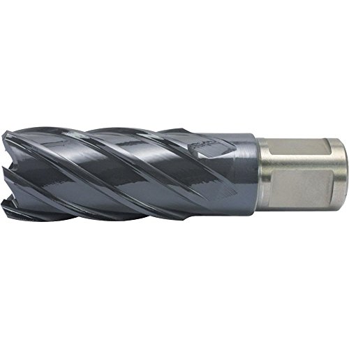 Alfra 1902024050 Kernbohrer 24/50mm aus Hss-Co Rqx-STAHL von Alfra