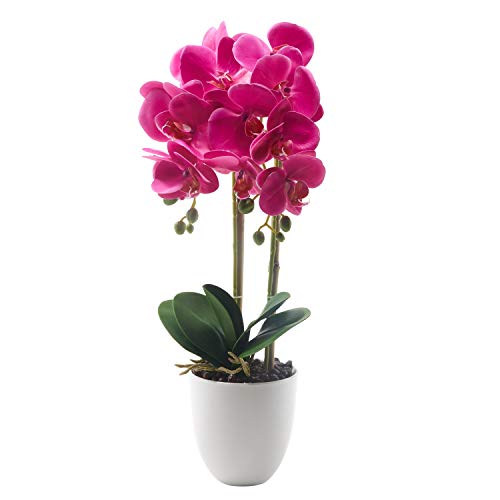 Alicemall Kunstpflanze Künstliche Orchidee Phalaenopsis im Topf aus Keramik 56 cm Lila von Alicemall