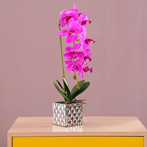 Alicemall Kunstpflanze Orchidee Künstliche Blumen Deko mit Übertopf aus Keramik 10x56 cm (F) von Alicemall