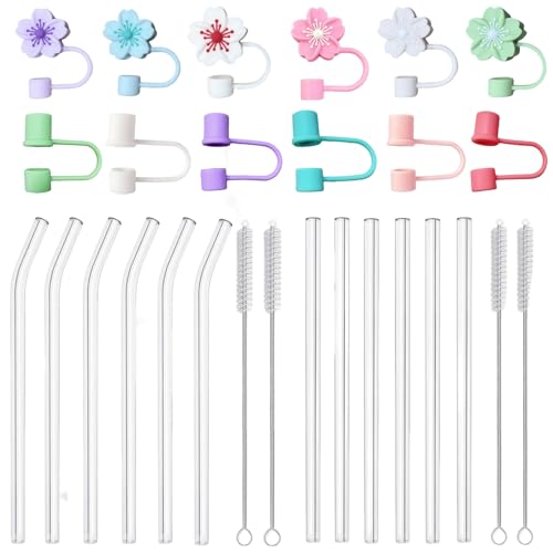 Alihoo Glas Strohhalme mit Trinkhalm Abdeckung,Wiederverwendbare Transparent Trinkhalme Glas,6 Lange Gerade + 6 Gebogene Strohhalm Glas + 12 Silikon Obst Trinkhalm Spitzen(Blume) von Alihoo
