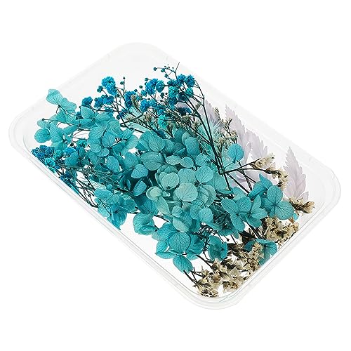 Alipis 1 Satz DIY Trockenblumen Natürliche Getrocknete Blumen für Kerzenherstellung Scrapbooking und Kunsthandwerk Handgemachte Materialien für Kreative Bastelprojekte von Alipis