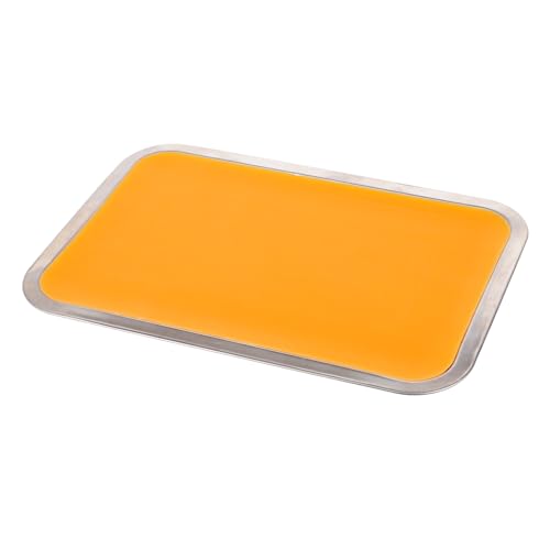 Alipis 1Satz Stainless Steel Wax Dissection Tray Robustes Labor-tablett für Anatomische Schnitte Papierzuschnitt und Vielseitige Anwendungen Leicht und Tragbar für Lehrzwecke und Sichere Nutzung von Alipis