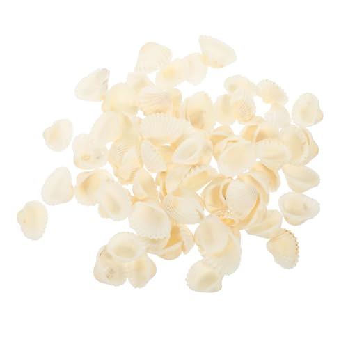 Alipis 1 Satz Natürlichen Muscheln für Aquarien Dekoration DIY Füllmaterial für Fischbehälter für Terrarien Teiche und Kreative Bastelprojekte von Alipis