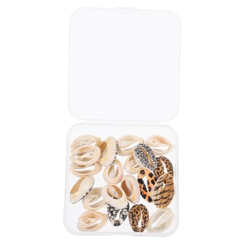 Alipis 1 Schachtel Natürliche Kleine Meeresschnecken Muscheln für DIY Bastelprojekte Miniatur Stranddeko ohne Bohrung Leichte Conch Deko für Aquarium und Wohnraumgestaltung Alipis 1 Schachtel Natürliche Kleine Meeresschnecken Muscheln für DIY Bastelprojekte Miniatur Stranddeko ohne Bohrung Leichte Conch Deko für Aquarium und Wohnraumgestaltung von Alipis