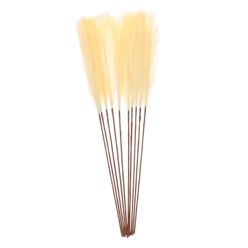 Alipis 10 Stück Teiliges Realistisch Aussehende Künstliche Getrocknete Schilfblumen aus Kunststoff Pflegeleicht Dekorativ für Zuhause Büro Basteln Trockenblumensträuße und Natürliche von Alipis