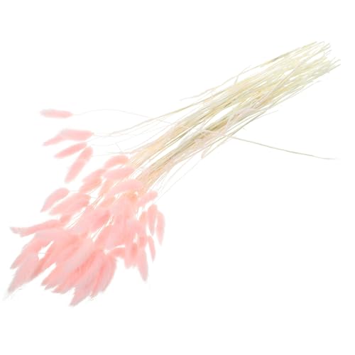 Alipis 120st Wurf Getrocknetes Gras Getrockneter Kuchendeckel Getrocknetes Hasenschwanzgras Stecke Den des Hasen Fest Tortenaufsatz Aus Gras Rosa Getrocknete Blumen von Alipis