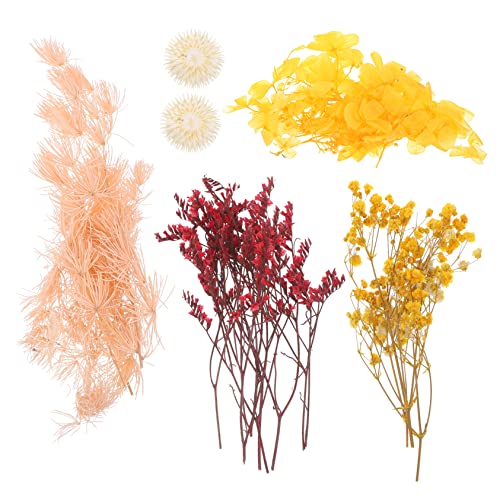 Alipis 1Satz Getrocknete Blumen Für DIY Und Bastelprojekte Mit Echten Gepressten Blüten Für Kreative Dekorationen Für Handyhüllen Und Bilderrahmen Alipis 1Satz Getrocknete Blumen Für DIY Und Bastelprojekte Mit Echten Gepressten Blüten Für Kreative Dekorationen Für Handyhüllen Und Bilderrahmen von Alipis