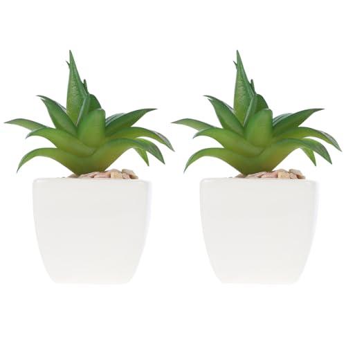 Alipis 2 Stück Künstliche Sukkulenten im Kunststofftopf Realistische Fake Succulent Bonsai Dekorative Pflanzen für Büro Wohnzimmer Fensterbank Pflegeleicht und Langlebig von Alipis