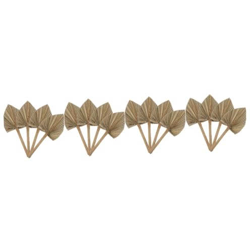 Alipis 4 Sätze Getrocknete Palmblätter Dekoration Boho Wedding Room Decor Rustikale Natur Dekoration Für Hochzeiten Feste Und Wohnzimmer Maße Variabel 4 Stück * 4 Alipis 4 Sätze Getrocknete Palmblätter Dekoration Boho Wedding Room Decor Rustikale Natur Dekoration Für Hochzeiten Feste Und Wohnzimmer Maße Variabel 4 Stück * 4 von Alipis