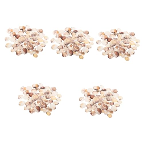 Alipis 5 Stück Schalendekoration Hülse Muscheln zum Basteln winzig schmücken Tank Mini Landschaftsmuscheln selber Machen Muschelschalen- Muscheln selber basteln Natur DIY Muscheln Alipis 5 Stück Schalendekoration Hülse Muscheln zum Basteln winzig schmücken Tank Mini Landschaftsmuscheln selber Machen Muschelschalen- Muscheln selber basteln Natur DIY Muscheln von Alipis