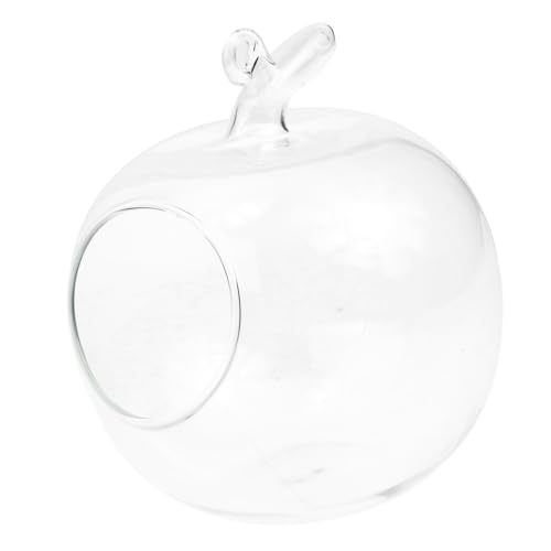 Alipis Apfel Förmige Ökologische Glasflasche für Pflanzenlandschaften DIY Dekorationsbehälter für Zuhause Transparentes Terrarium für Sukkulenten und Mikro Landschaften Alipis Apfel Förmige Ökologische Glasflasche für Pflanzenlandschaften DIY Dekorationsbehälter für Zuhause Transparentes Terrarium für Sukkulenten und Mikro Landschaften von Alipis