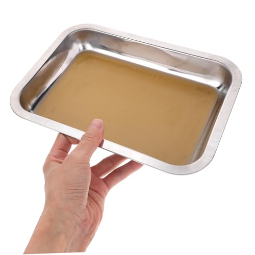 Alipis Edelstahl Dissektionstablett mit Wachseinlage Langlebiges Labor organizer tablett Ergonomisch Gestaltetes Seziertablett für Biologie und Unterricht Vielseitig Einsetzbar Rostfrei Alipis Edelstahl Dissektionstablett mit Wachseinlage Langlebiges Labor organizer tablett Ergonomisch Gestaltetes Seziertablett für Biologie und Unterricht Vielseitig Einsetzbar Rostfrei von Alipis