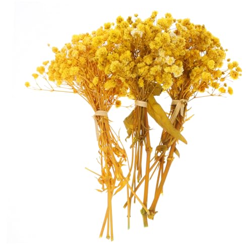 Alipis Getrocknete Schleierkraut-sträuße Natürliche Kleine Trockenblumen für DIY Blumenarrangements Lebendige Gelbe Farbtöne Hochzeit Party Tischdeko Realistische Bastelblumen Alipis Getrocknete Schleierkraut-sträuße Natürliche Kleine Trockenblumen für DIY Blumenarrangements Lebendige Gelbe Farbtöne Hochzeit Party Tischdeko Realistische Bastelblumen von Alipis