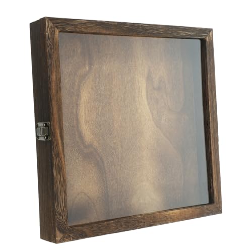 Alipis Kästchen mit Insektenproben Vitrine für Halter für Fall Wand Anzeige schmuckkästchen trockenblumen Pin Vitrine Probenbehälter Insektenvitrine aus Holz Vintage Mustervitrine hölzern von Alipis