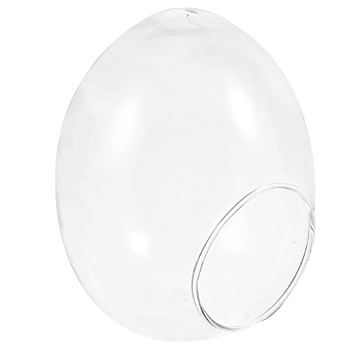 Alipis Kerzenhalter Aus Klarem Glas Kerzenhalter Für Zu Hause Hängender Blumentopf Tischdekoration Dekoration Für Tisch Natürliche Kerzen Pflanzendekor Runde Kerzen Transparent Alipis Kerzenhalter Aus Klarem Glas Kerzenhalter Für Zu Hause Hängender Blumentopf Tischdekoration Dekoration Für Tisch Natürliche Kerzen Pflanzendekor Runde Kerzen Transparent von Alipis
