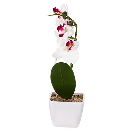 Alipis Künstliche Orchideenpflanze Phalaenopsis Im Topf Als Kunstpflanze Für Wohnzimmer Dekoration Blumenbonsai Für Foto Requisiten Und Basteln Alipis Künstliche Orchideenpflanze Phalaenopsis Im Topf Als Kunstpflanze Für Wohnzimmer Dekoration Blumenbonsai Für Foto Requisiten Und Basteln von Alipis