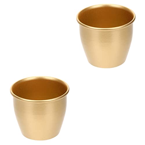 Alipis Wohnzimmer Blumentopf 2 Stück Mini-blumentopf Mini-terrakotta-töpfe Mini-blumentopf Metalltopf Pflanzgefäß Für Den Außenbereich Pflanzgefäße Pflanzgefäße Für Den Innenbereich von Alipis