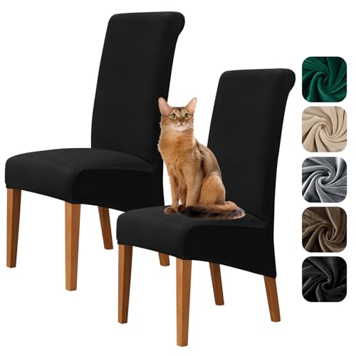 Alishomtll Samt Stuhlhussen XL 2er Set Universal Stretch Stuhlbezug für Schwingstühle Große Esszimmerstühle Bezug Waschbar Abnehmbar Stühle Schutz für Küche Bankett Hochzeit Party (Schwarz, 2 Stück) Alishomtll Samt Stuhlhussen XL 2er Set Universal Stretch Stuhlbezug für Schwingstühle Große Esszimmerstühle Bezug Waschbar Abnehmbar Stühle Schutz für Küche Bankett Hochzeit Party (Schwarz, 2 Stück) von Alishomtll