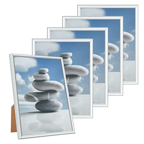 Alishomtll Silber Bilderrahmen 5er Set, 15x20cm, Fotorahmen mit HD-Acrylglas Bilderrahmen zum Aufhängen/Aufstellen Fotogalerie Display Kunststoffrahmen Set für Mehrere Bilder Fotos, Silber von Alishomtll