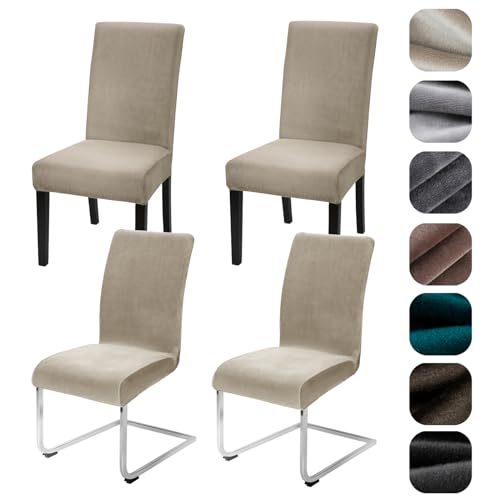 Alishomtll Stretch Samt Stuhlhussen 4er/6er Set Velvet/Velour Stuhlbezug Schwingstuhl Elastische Hussen Waschbarer Stühle Schutz für Küche Restaurant Hotel Bankett Hochzeit (Champagne, 4 Stück) von Alishomtll