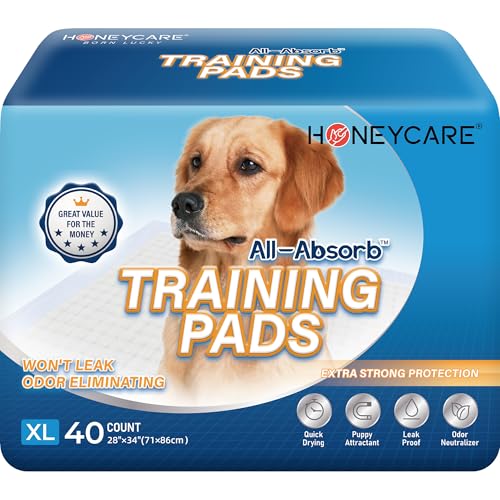 All-absorb XL-Training-Pads 71 x 86 cm, 40 Stück All-absorb XL-Training-Pads 71 x 86 cm, 40 Stück von HONEY CARE