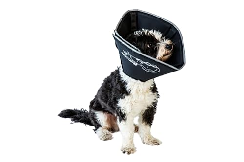 All Four Paws „The Comfy Cone“ Halskrause für Haustiere,Small 14 cm All Four Paws „The Comfy Cone“ Halskrause für Haustiere,Small 14 cm von All Four Paws