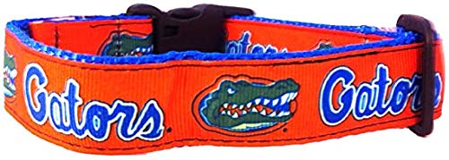 Collegiate Hundehalsband, Größe L, Florida Gators von All Star Dogs