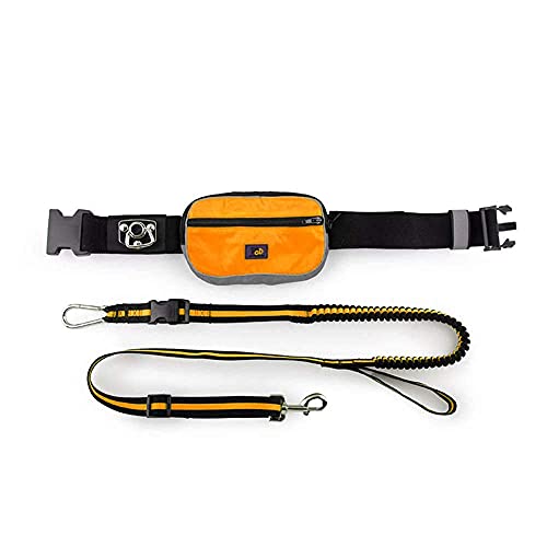 All for Paws Gurt Jogging mit Handtasche Outdoor, Orange All for Paws Gurt Jogging mit Handtasche Outdoor, Orange von ALL FOR PAWS