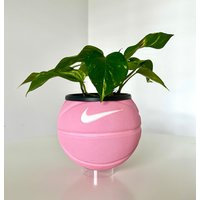 Pinker Mini Basketball Übertopf Auf Ständer - Stehender Blumentopf Cooles Tiktok Trend Geschenk Pinker Mini Basketball Übertopf Auf Ständer - Stehender Blumentopf Cooles Tiktok Trend Geschenk von AllByAlexx