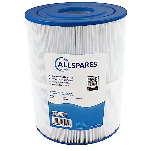AllSpares Whirlpool Filter geeignet für SC713 / 80651 / C-8465 (Ø216x267mm) von AllSpares