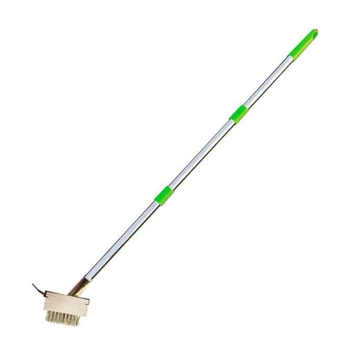 Allayu Unkrautverfugungsbürste mit Pflastersteinbürstenkante, Gartenbesen, Unkraut und Material, zum Griff, Bürstenersatz, grüner, 1.13 Mio. (3 sparen) von Allayu