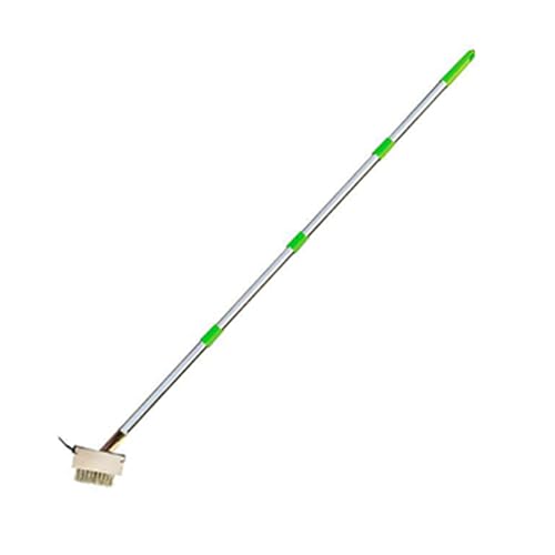 Allayu Unkrautverfugungsbürste mit Pflastersteinbürstenkante, Gartenbesen, Unkraut und Material, zum Griff, Bürstenersatz, grüner, 1.48 Mio. (4 speichern) von Allayu